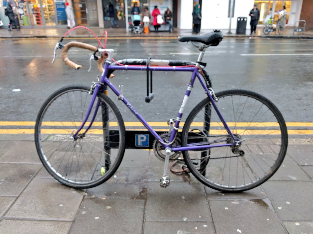 Purple Viking