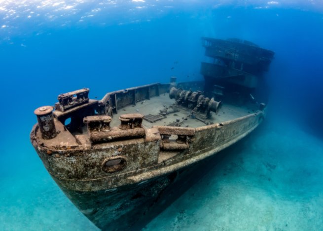 scubadiverlife's tweet photo. Five Great November #scuba Dive Destinations https://t.co/9y7uy2osIV https://t.co/PWBURbdo9Q
