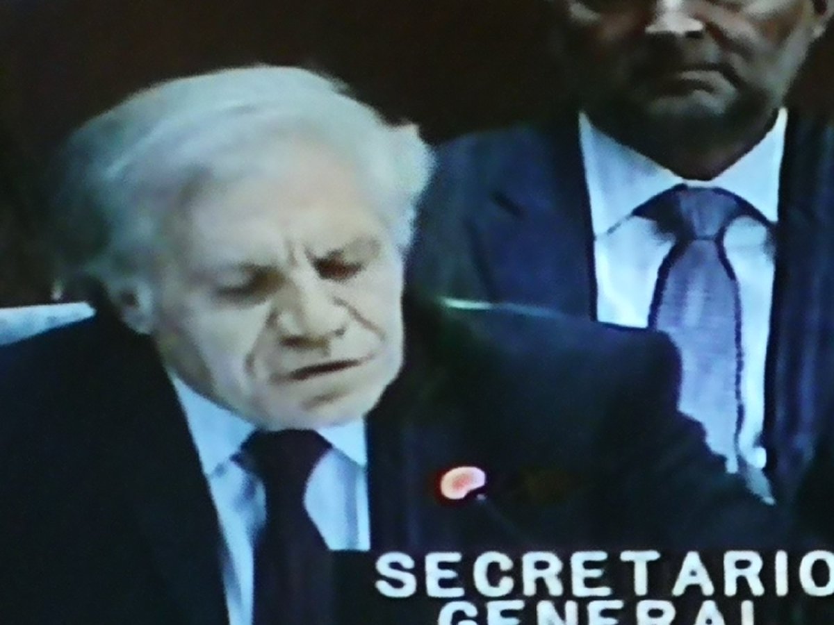 JohnArandia's tweet photo. Luis Alamagro deja establecido en la sesión "Fraude generalizado en todas las etapas del proceso electotal", establecido por la misión de auditores de la OEA. https://t.co/ECQS4CTAiK