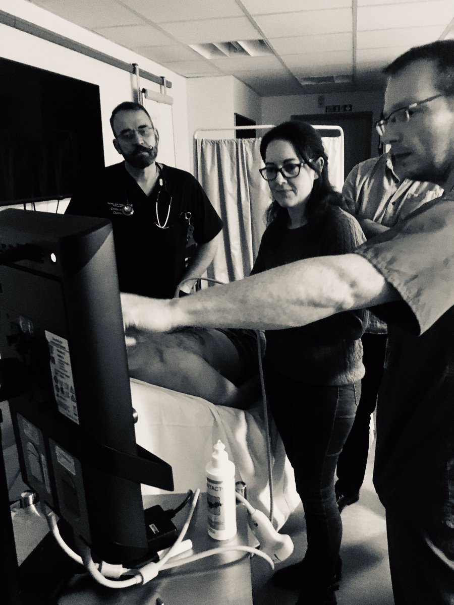 clairearowley's tweet photo. Exciting team day @sashnhs for the Critical Care Outreach team, being taught the basics of lung and vascular access ultrasound scan. https://t.co/0zkMcX4qQJ