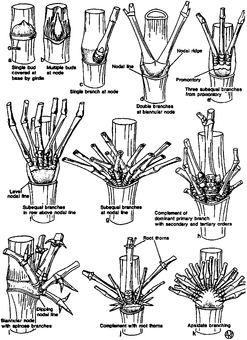 aaah what the heck is this beautiful process. this is a new one