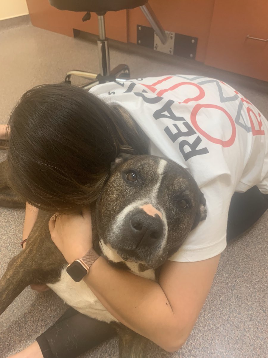 DeejGrande's tweet photo. You know the pain is coming, so you live fully in the moment with her, never fail to share her joy or delight in her innocence. There’s such beauty in the hard honesty in accepting and giving love while always aware that it comes with an unbearable price. #RIP 3/8/11- 11/8/19 🐾 https://t.co/E4P4cLcmN2