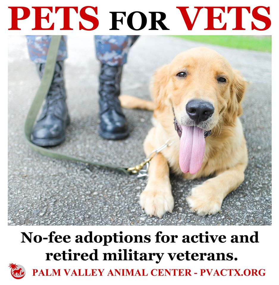 palm valley adoption