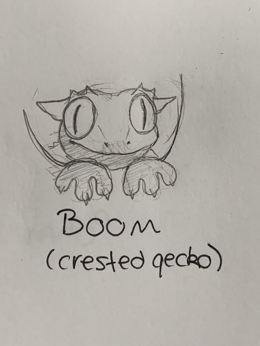 [5.64] Boom the created gecko