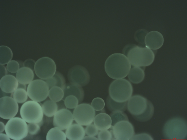Currently experimenting with Raman spectroscopy to verify it's ability to identify microplastics for our autonomous microscope. This photo shows a possible Raman response in polyethylene microbeads, since the shift should produce green. More updates soon! <a href="/LiquidRobotics/">Liquid Robotics</a> #raman