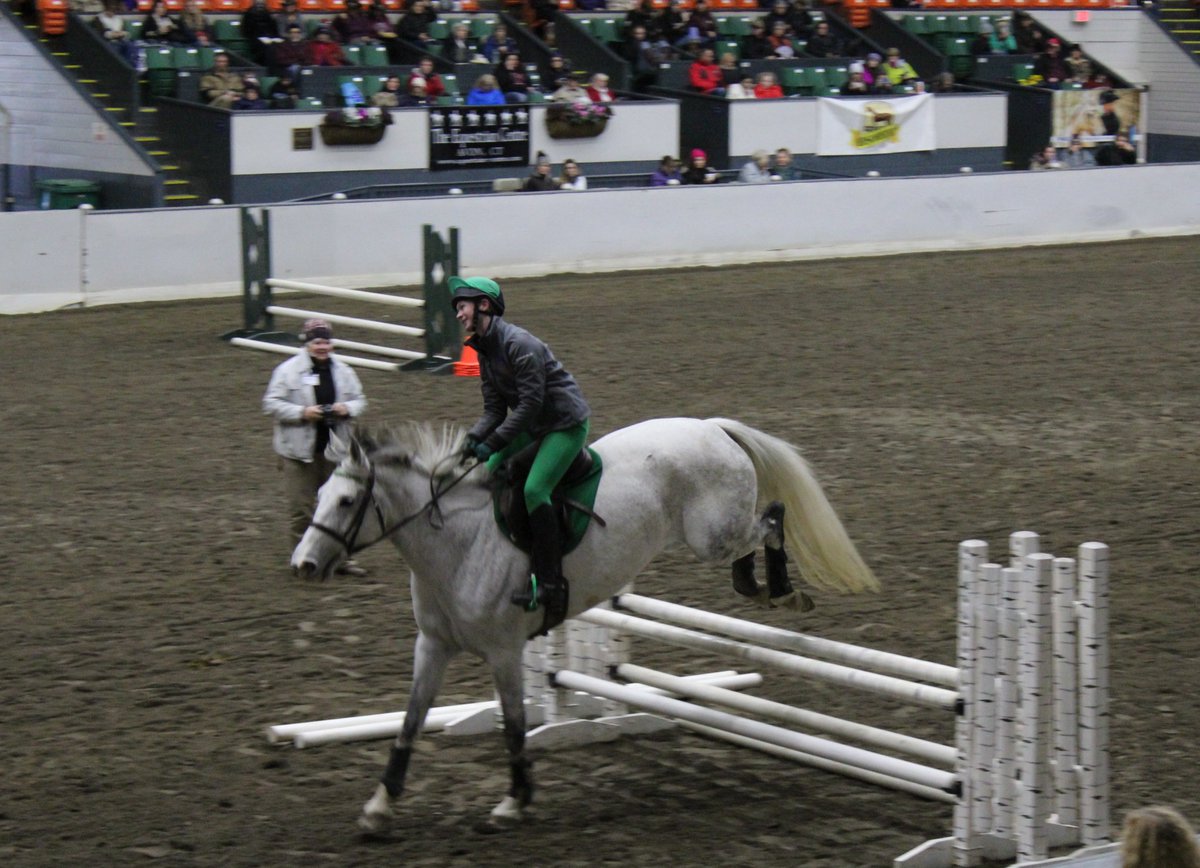 TeamNeala's tweet photo. Thank you again to Ann Morss & the Irish Draught Horse Society of North America for having us at #ea19ma, and special thanks to all of you who stopped by to meet us and say "hello"... Neala loved meeting all of you! βοΈπ
#EquineAffaire #IDHSNA #equestrian https://t.co/dIyJG1f6ul