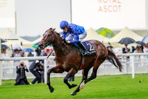 DarleyStallions's tweet photo. 🏆 #BluePoint, the only horse to have won three G1 Royal @Ascot sprints and Ascot’s six-furlong record holder, is crowned Champion Sprinter at the 29th @Cartier Racing Awards 👑 https://t.co/5yZiwNxtfz