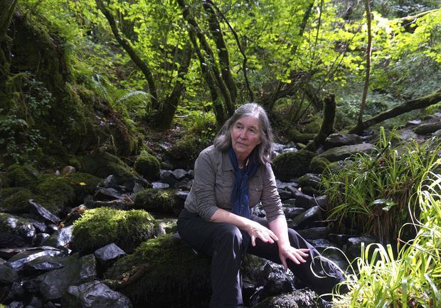 “#Trees offer us the solution to nearly every problem facing humanity today, from halting global temperature rise to defending against drug-resistant bacteria. The tapestry of life, worldwide depends on trees.” buff.ly/2pcagvF