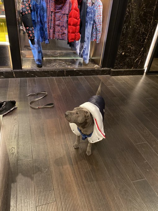 2 pic. Ready for winter #nyc https://t.co/IN2gSImEld