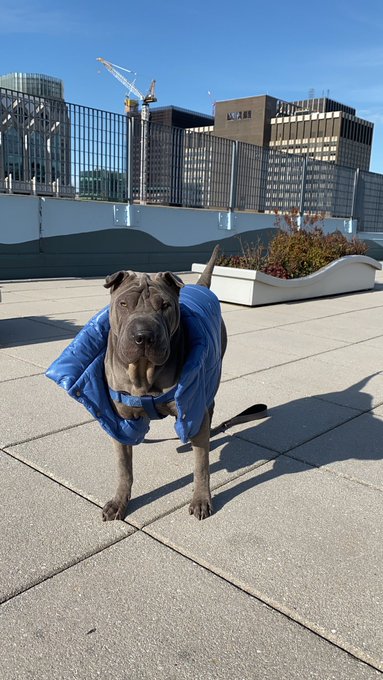 3 pic. Ready for winter #nyc https://t.co/IN2gSImEld