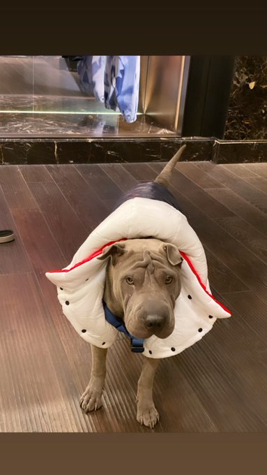 1 pic. Ready for winter #nyc https://t.co/IN2gSImEld