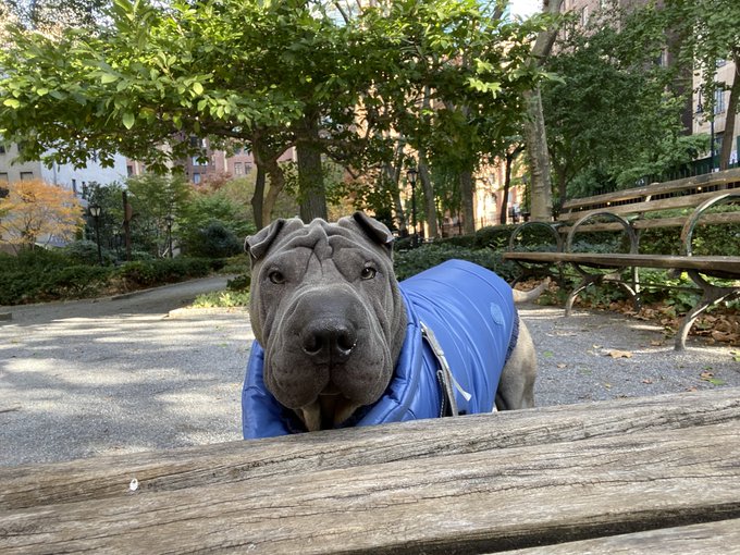 4 pic. Ready for winter #nyc https://t.co/IN2gSImEld