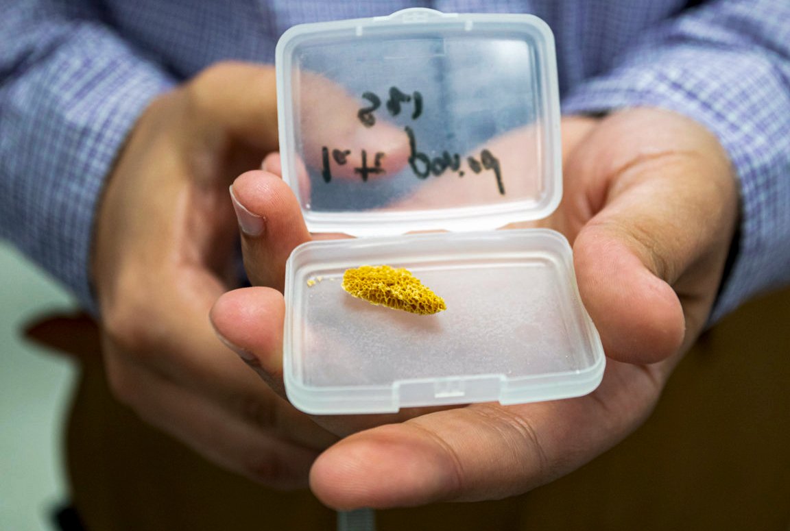 MDCPrecision's tweet image. Scientists explore Egyptian mummy bones with X-rays &amp;amp; infrared light newscenter.lbl.gov/2019/11/12/sci… #BerkeleyLab #LBNL #AdvancedLightSource #CairoUniversity #ALS #Archaeology #Egypt #Mummy #XrayScience #VacuumChamber #mdcvacuum #UltraHighVacuum #onthebeamline #AncientEgypt #LAAAMP #UHV