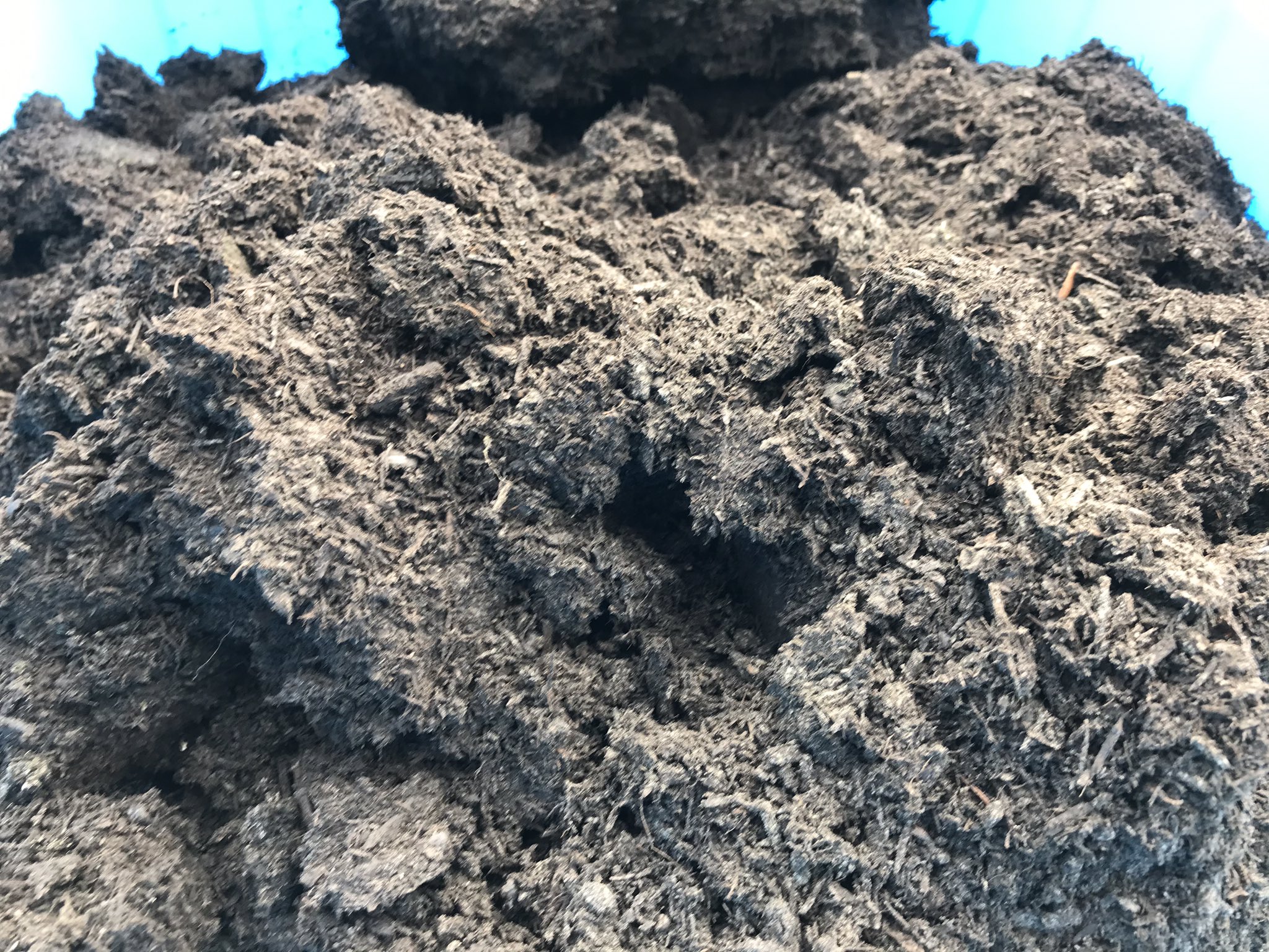 Watanabekai 七会きのこセンター 黒すぎて笑う ㅤ バーク堆肥 T Co Mwyncwpsi8 Twitter