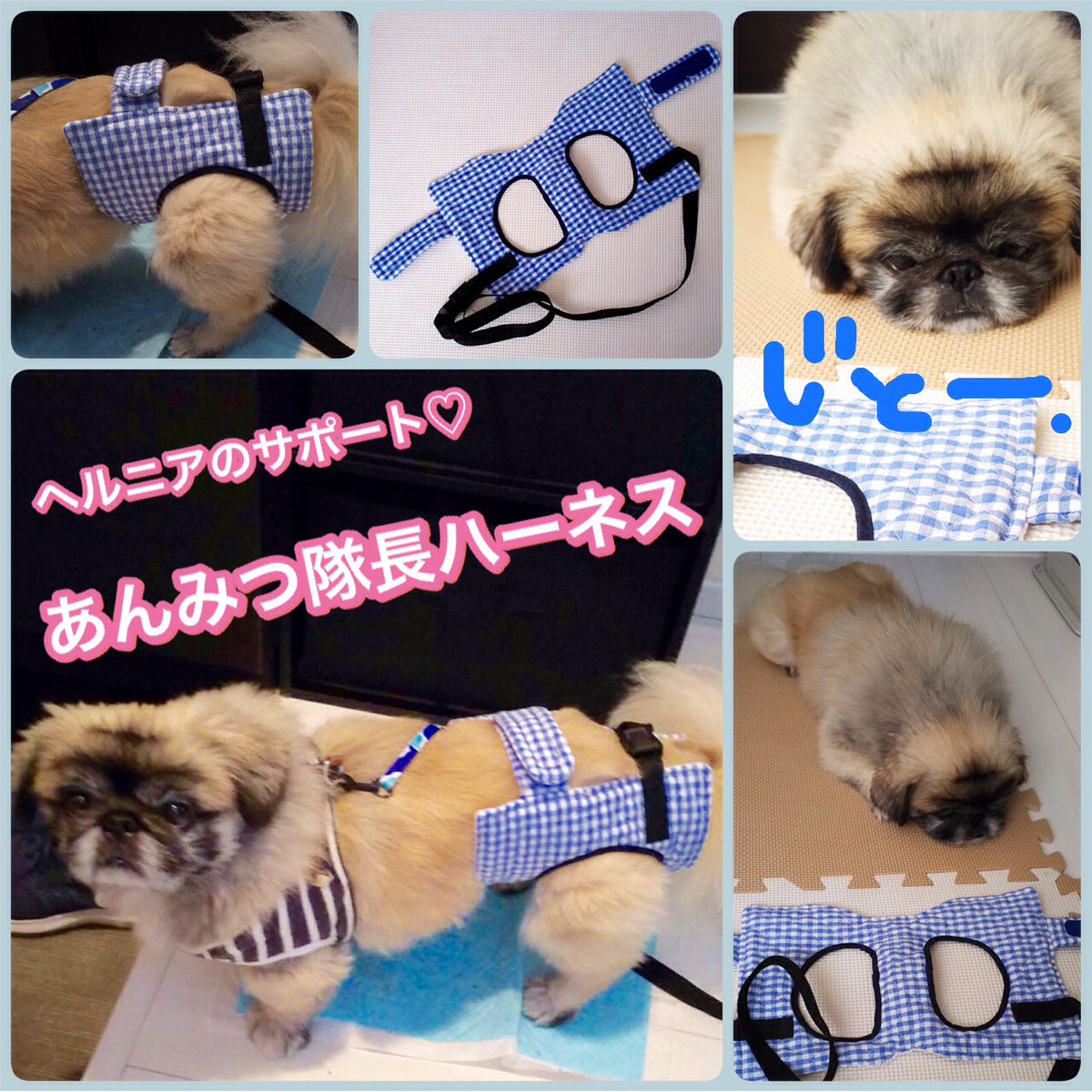 手作りハーネス 手作りハーネス