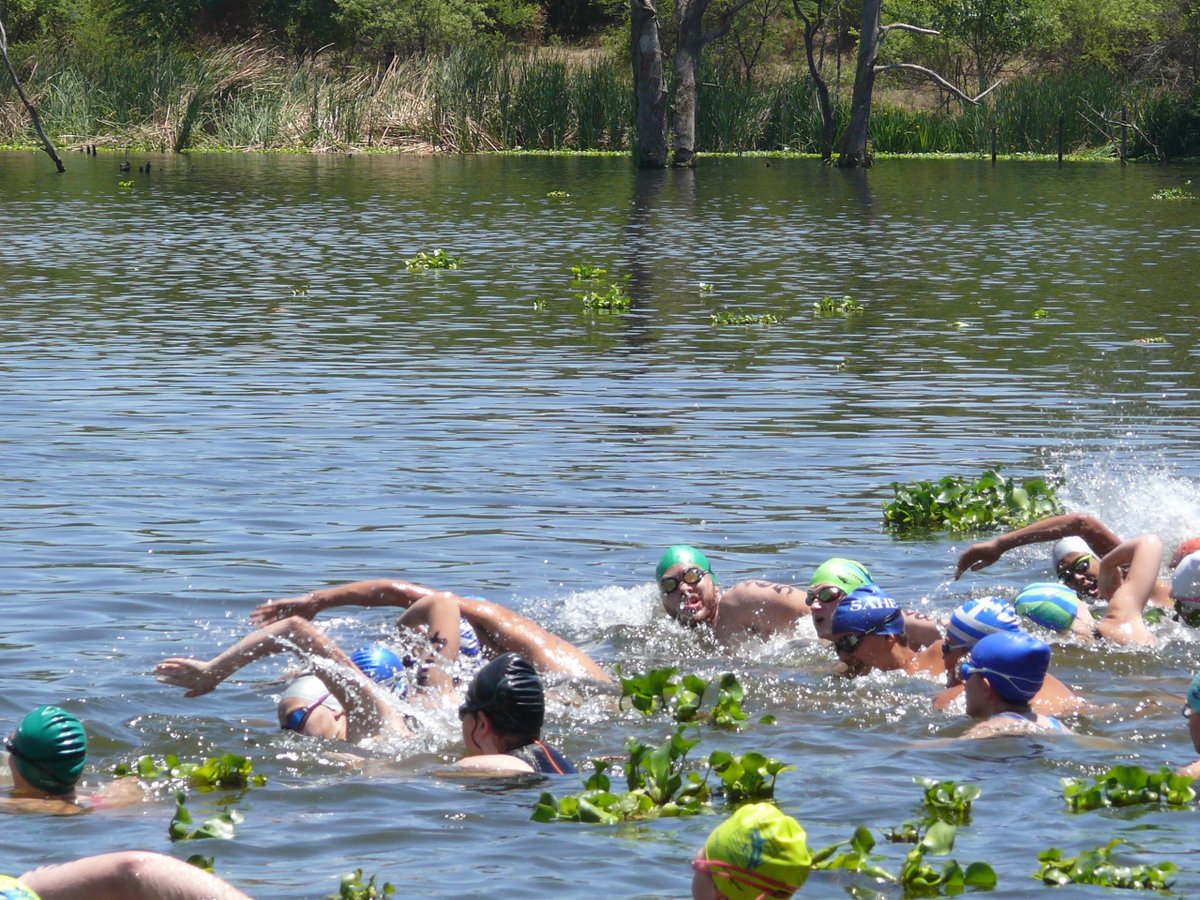 Midmar_Mile tweet media