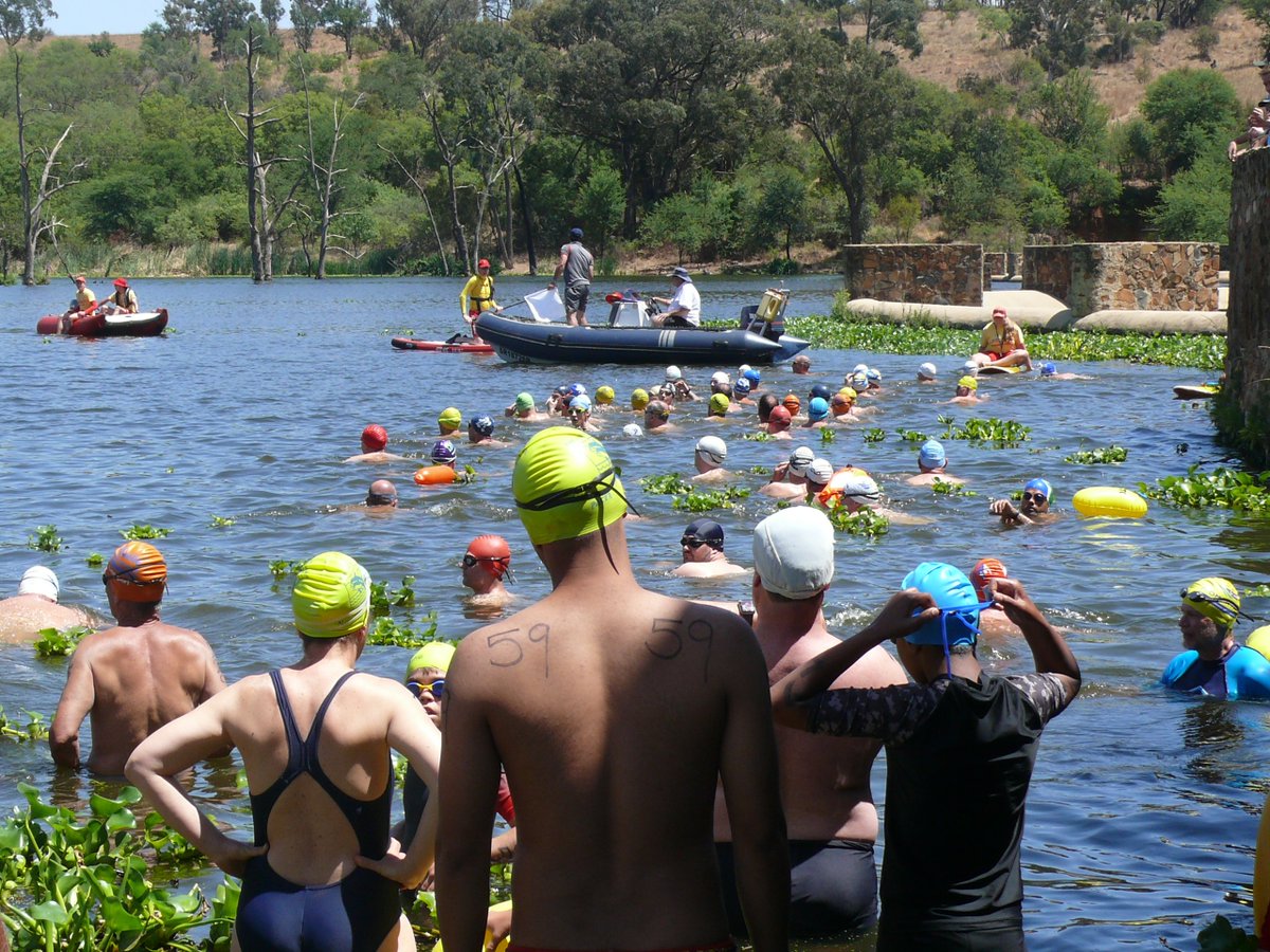 Midmar_Mile tweet media