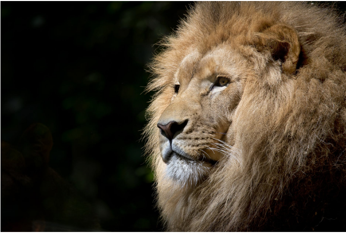 PropertyWoolf's tweet image. Check my new epi with Kecia Rust targeted at educating investors on the ins &amp;amp; outs of residential vs commercial property and which is better in the longer term.
ow.ly/7dH350x8Cmo

#invest#property#propertywoolf#KatWoolf#KeciaRust#propertyinvestment#residential#commercial