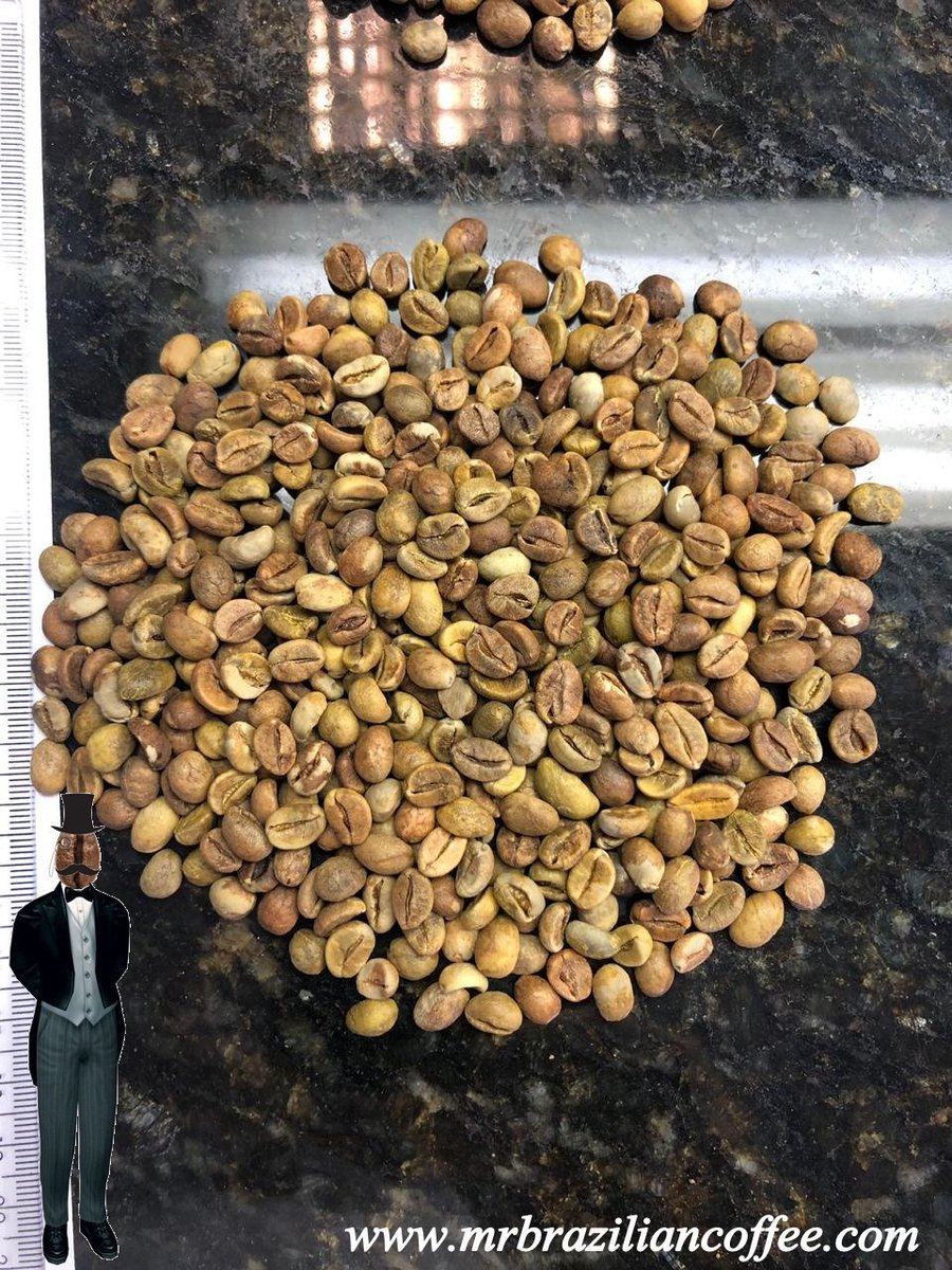 Robusta 16 up clean
Origine Vietnam
Minimo 100 sacchi
Parla con noi, non perde tempo!!
+5585992592357
mrbraziliancoffee.com
tadeu@mrbraziliancoffee.com