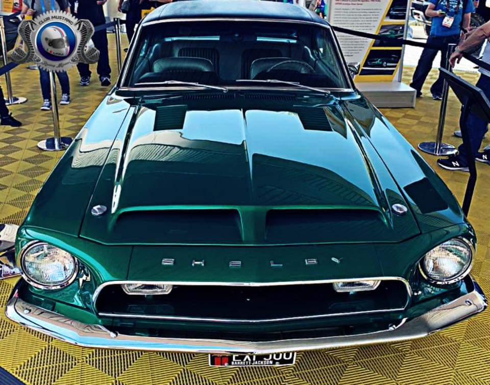 MustangRMX's tweet photo. #MRM #ANCM #fordmustang #YoSoyKor2019 #MeridianoSobreRuedas https://t.co/PWUtRDmrlw