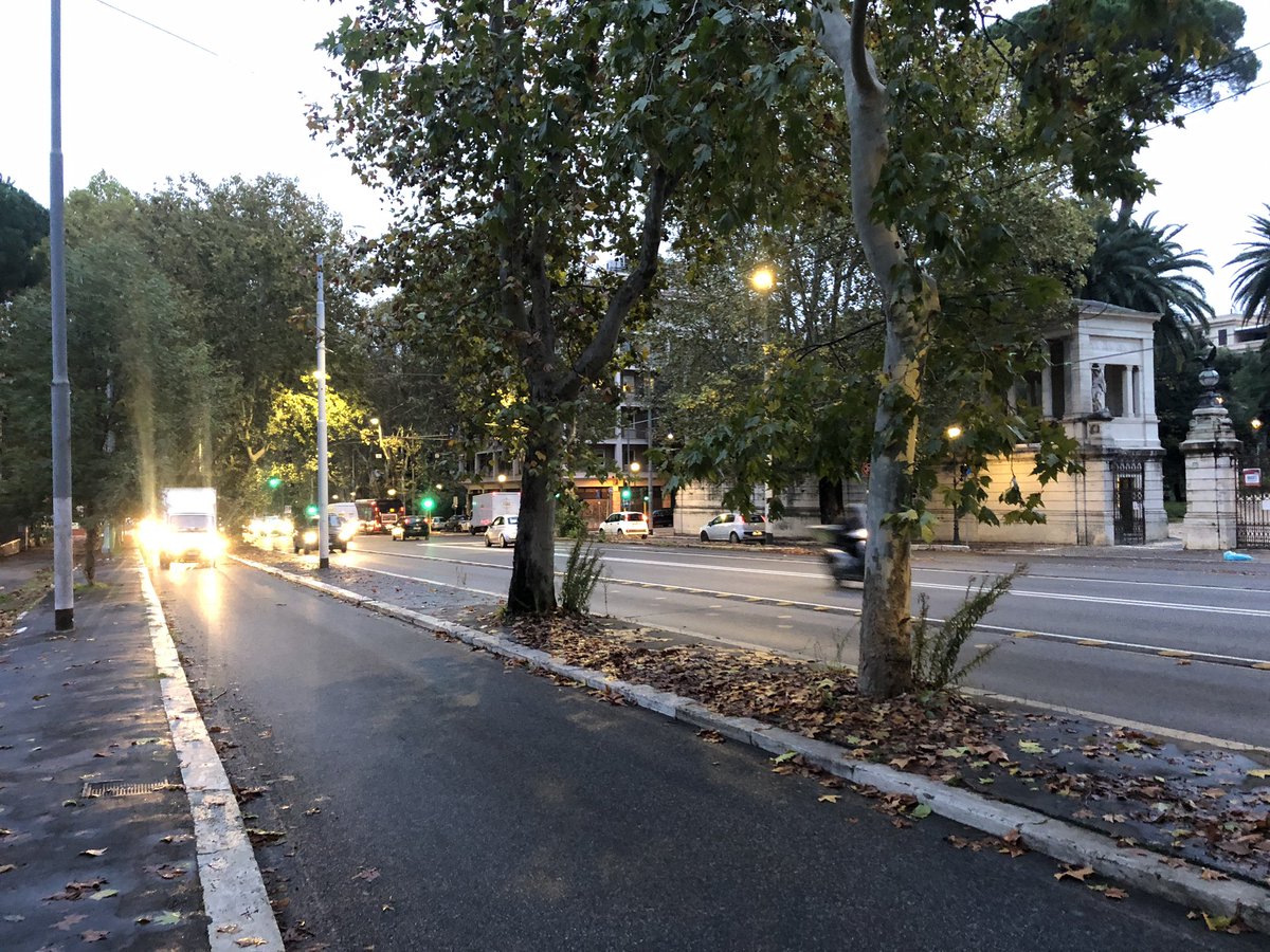 Mau_Gubbiotti's tweet photo. Alle 7,30 diretta su @RaiTre @TgrRaiLazio @BGRLazio @EnteRomaNatura con @rosariocarello, parleremo di cosa vuol dire essere la città più verde d’Europa, del progetto #Ossigeno della @RegioneLazio, di #Festadell’Albero @Legambiente @LegambienteLa @Retake_Roma https://t.co/192dByLUpl