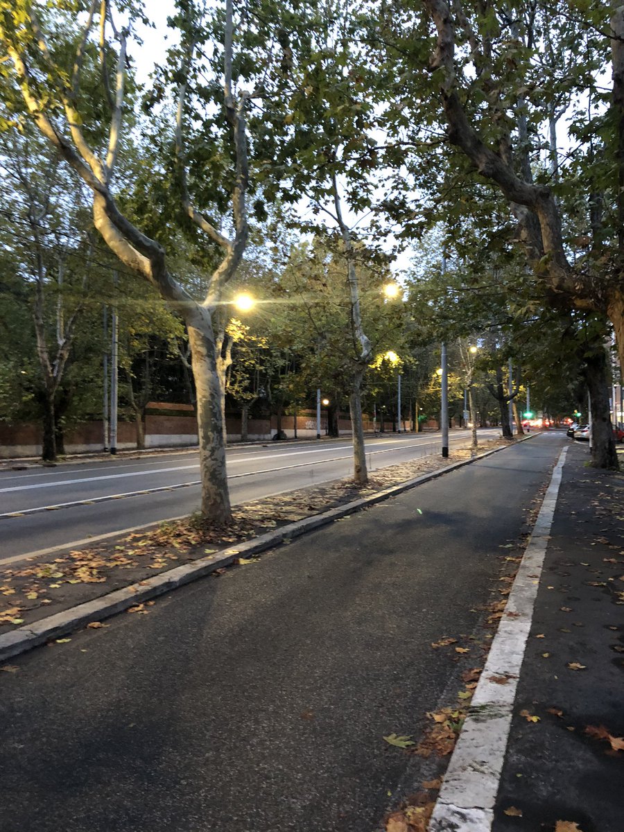 Mau_Gubbiotti's tweet photo. Alle 7,30 diretta su @RaiTre @TgrRaiLazio @BGRLazio @EnteRomaNatura con @rosariocarello, parleremo di cosa vuol dire essere la città più verde d’Europa, del progetto #Ossigeno della @RegioneLazio, di #Festadell’Albero @Legambiente @LegambienteLa @Retake_Roma https://t.co/192dByLUpl