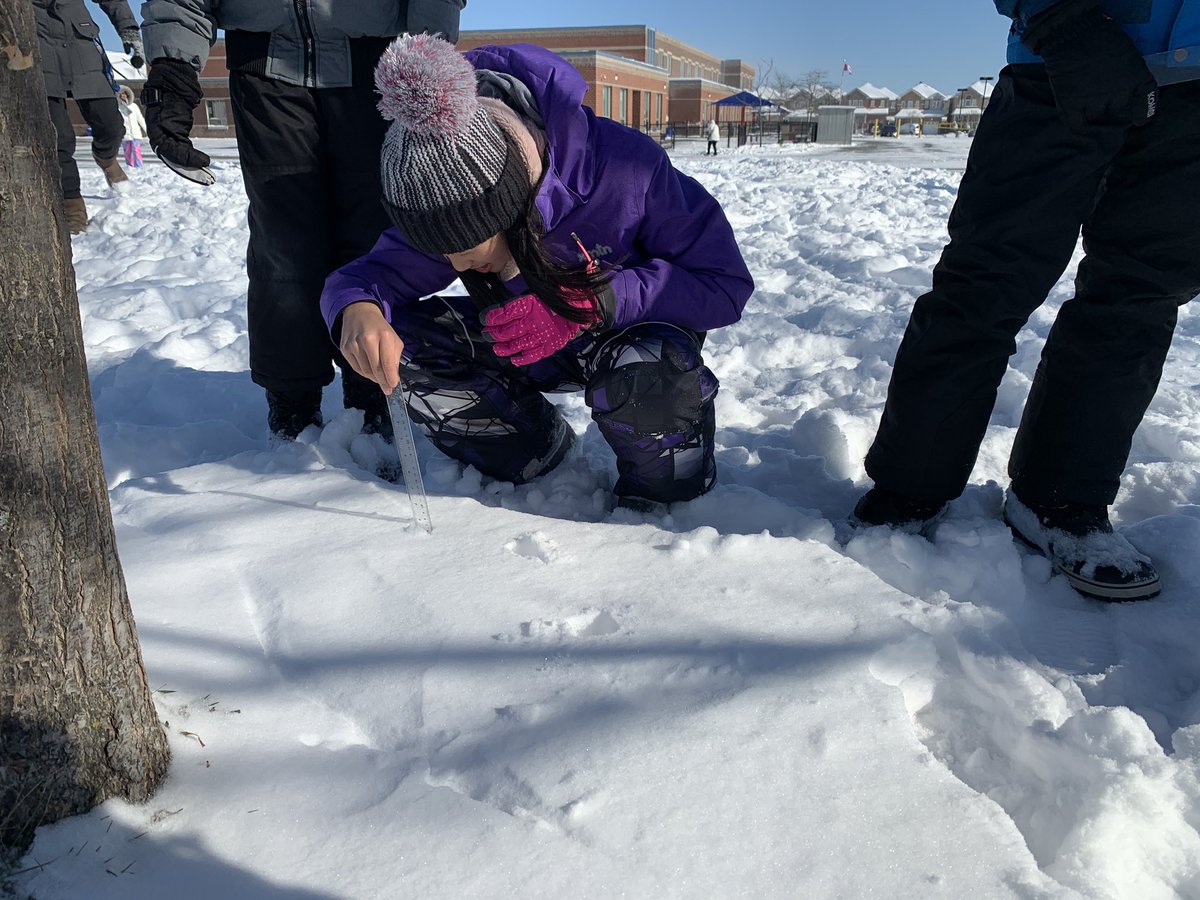 MsCheung216's tweet photo. Measured and compared fallen snow to the forecasted amount. Sledding afterward. It is always fun to see the delight on students’ faces (especially those who have never played in snow before). Teaching safe play in snow! #SnowFun #MathOutside @GreensboroughPS @YRDSBGetOut https://t.co/NjzfLIzlTt