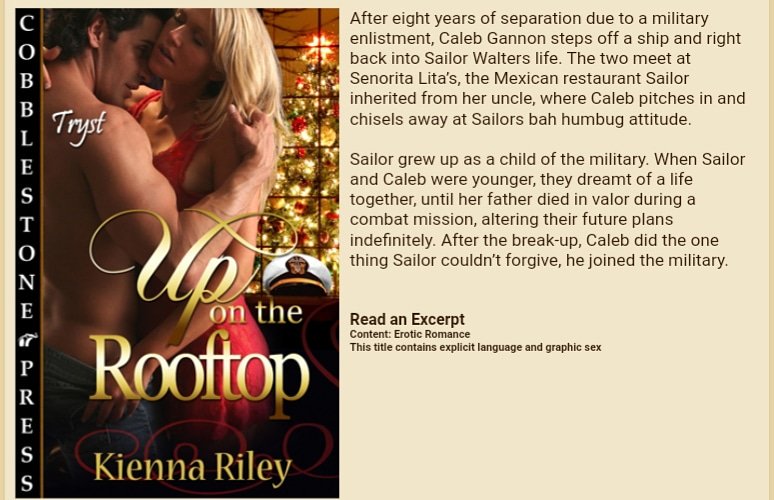 cpbooks's tweet photo. Who's #ready for #Christmas? 

#booklovers #book #amreading #romance #bookworm #reading #booklover #goodreads #ebook https://t.co/qkdaItekXZ