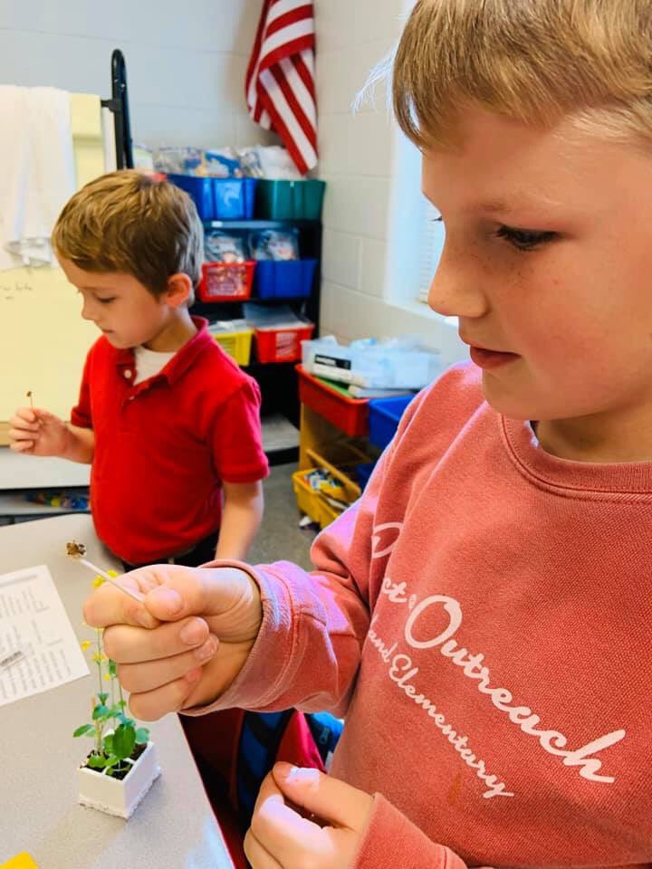 SaralandElem's tweet photo. Ms Amy from AMSTI demonstrating how bees pollinate flowers with Ms. Skinner’s and Mrs. Dunnam’s second graders. 🌺 🐝
#AMSTIscience https://t.co/DtlKbtS16z