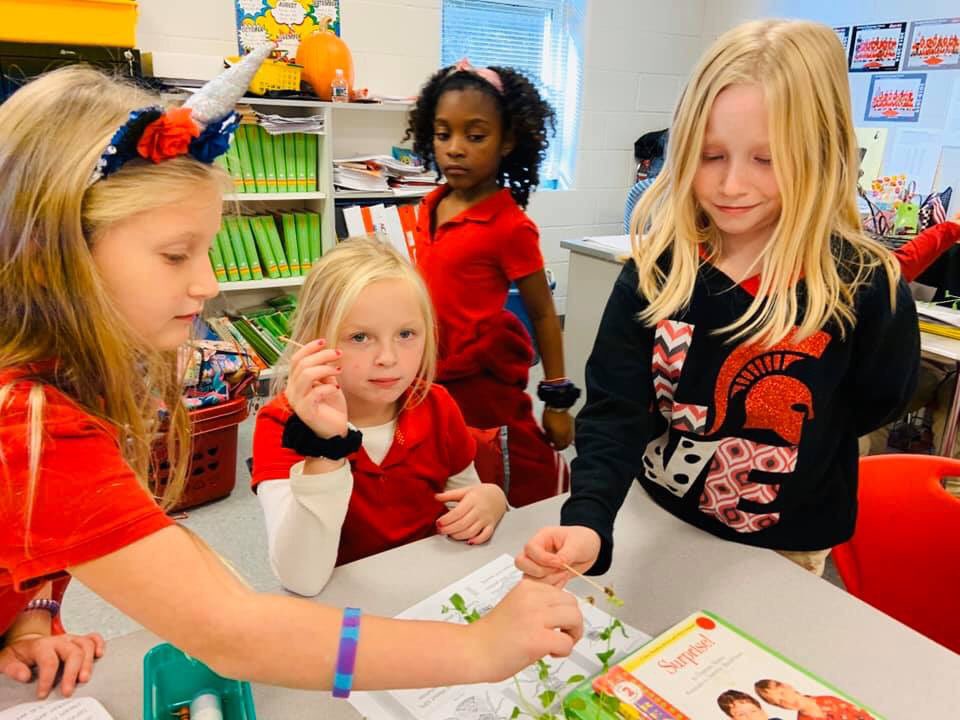 SaralandElem's tweet photo. Ms Amy from AMSTI demonstrating how bees pollinate flowers with Ms. Skinner’s and Mrs. Dunnam’s second graders. 🌺 🐝
#AMSTIscience https://t.co/DtlKbtS16z