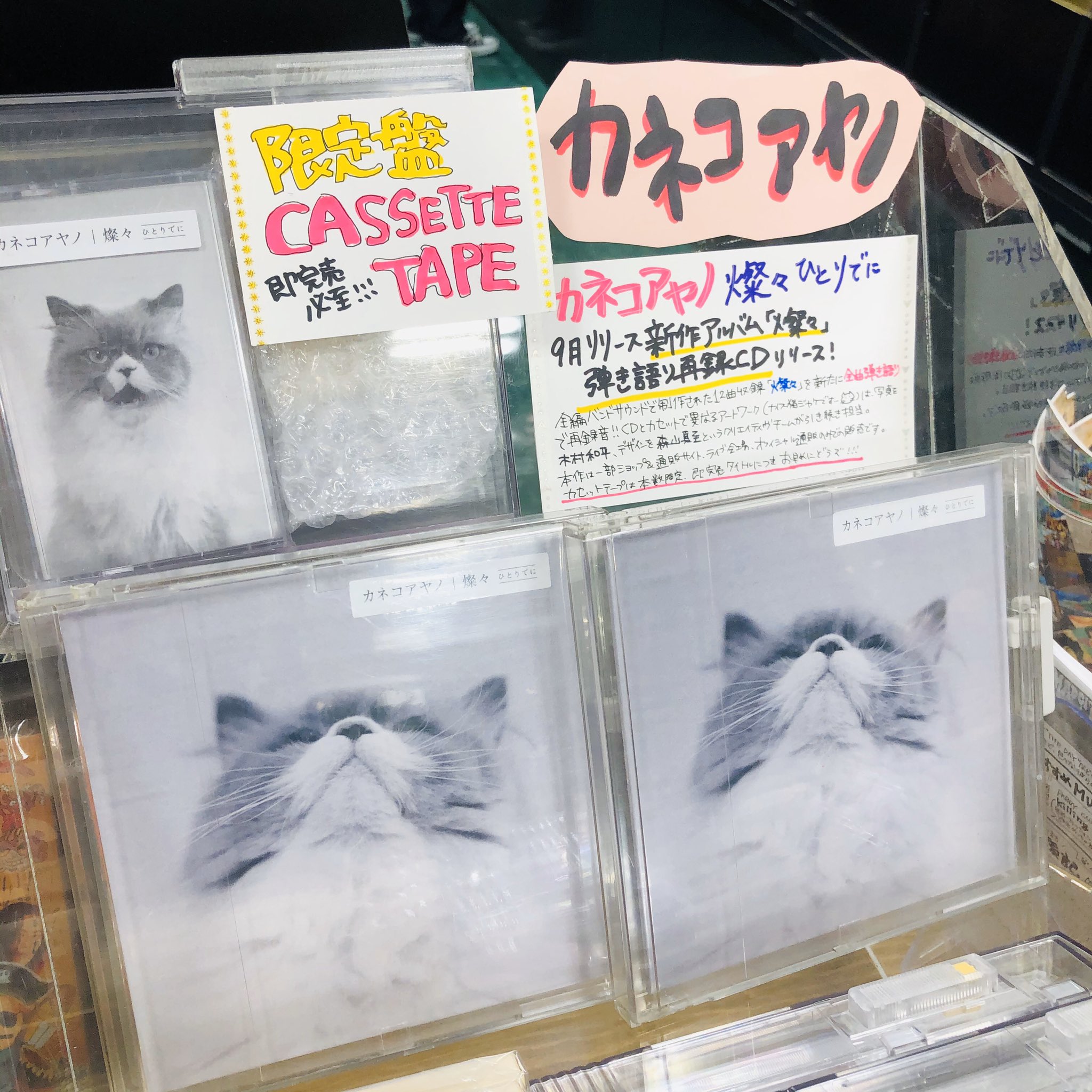 希少！未開封/カセット◇カネコアヤノ / 燦々 ひとりでに ◇2019