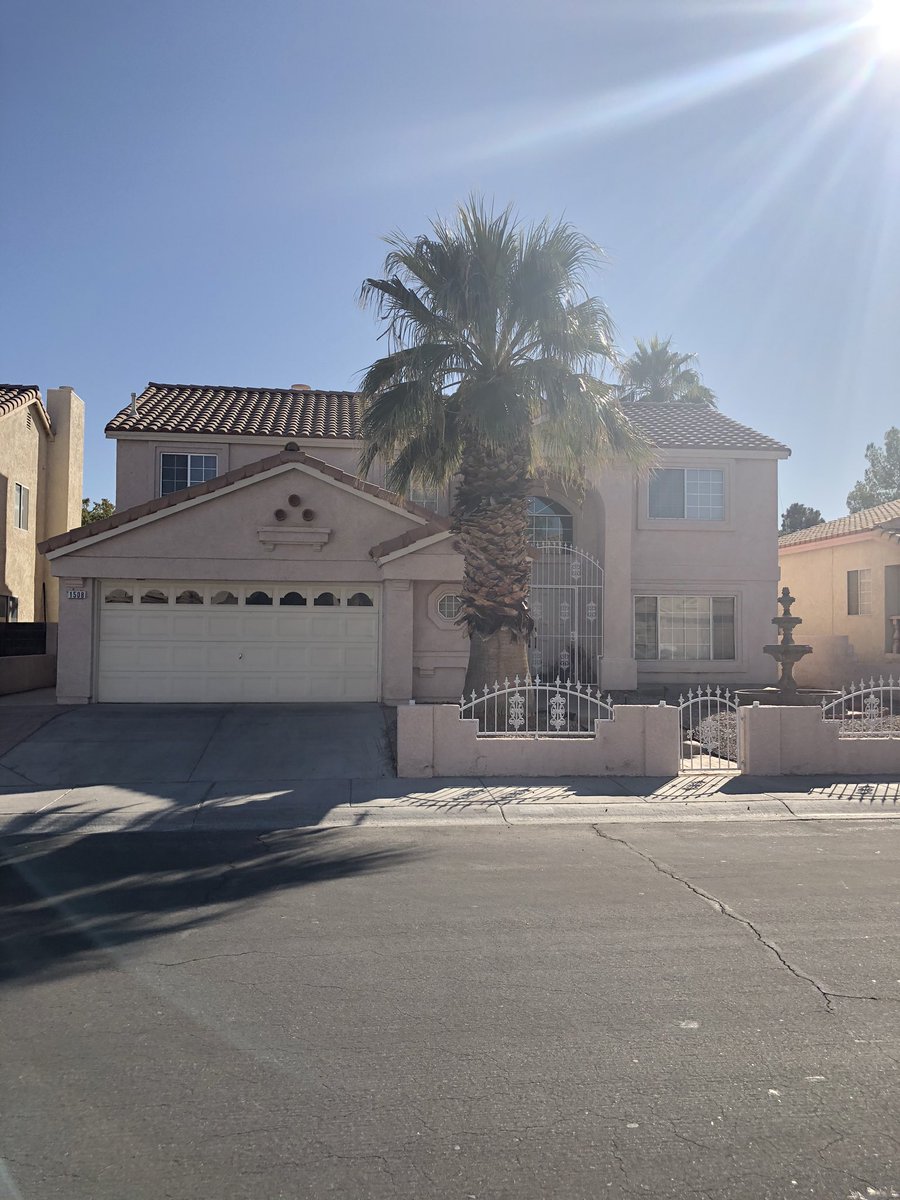 PalmtreesR's tweet image. Before and after of a California fan palm that has been trimmed and skinned