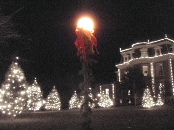 theinventivefox's tweet photo. I love the idea of decorating early... here's why: https://t.co/Ohgqm9CsG5 https://t.co/lfXmBDHRWo