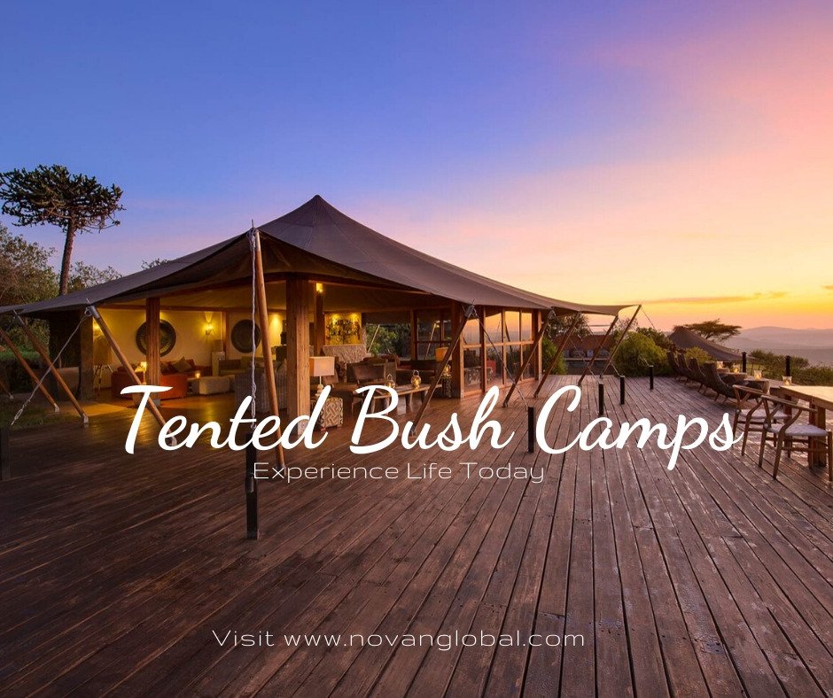 novan_global's tweet photo. Treat yourself, get off the Grid. A plethora of 5 to 3 star accommodation options to choose from , each suited to meet specific budgetary and amenity requirements,and thus superbly caters to the needs and wants of today’s worldly leisure. https://t.co/8tbQVbKQQm https://t.co/HizBn8wBo3