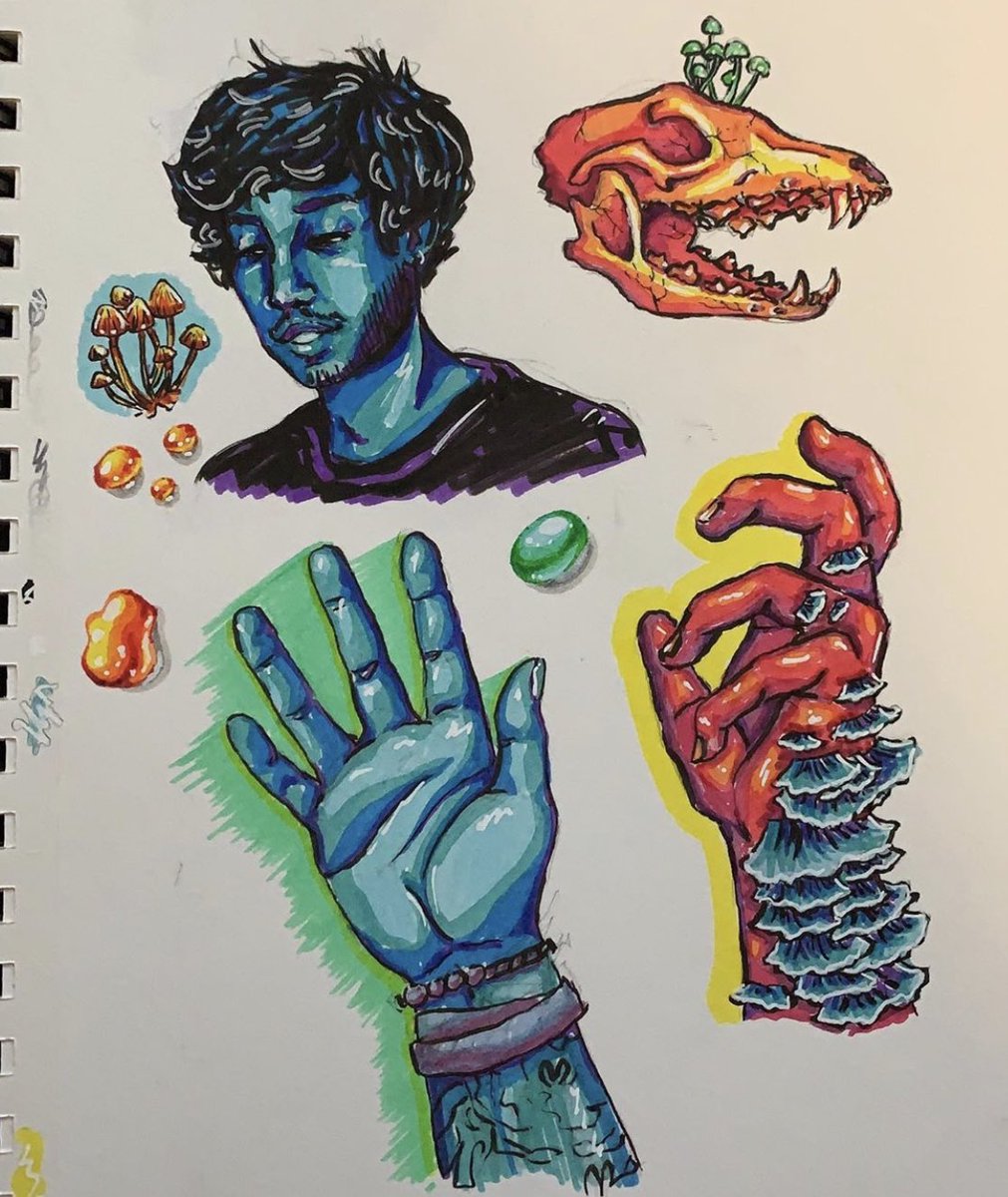 elfenthusiast's tweet photo. Decided to finally make a twitter for my art! My name’s Faye and I’ve been making art for most of my life. I love working with fun colors, as well as fantasy-type content and OC’s! https://t.co/6OmCKaKgD3
