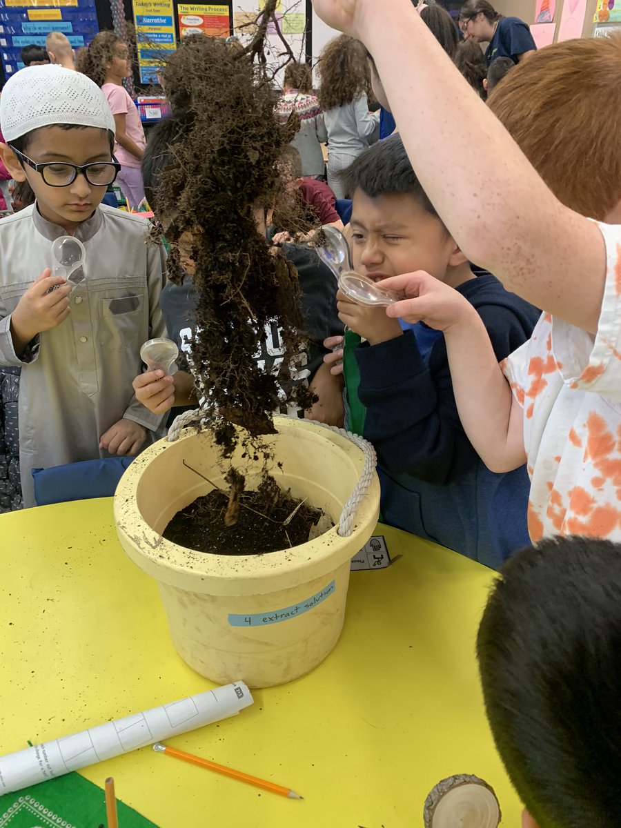 Miss Pantos tweet media