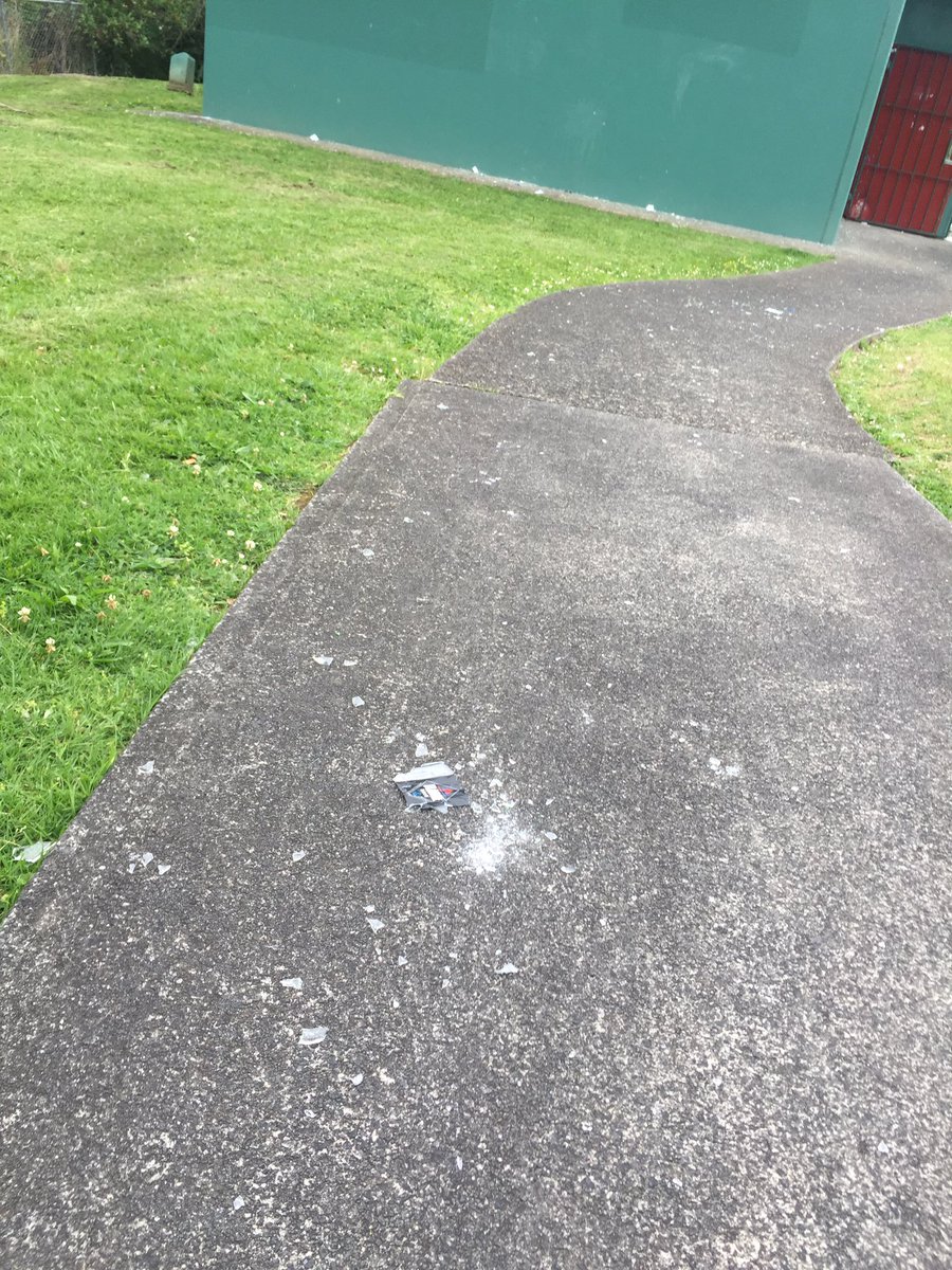 Maxine__F's tweet photo. Hiya @AklCouncil please send someone to clean up the smashed glass along this footpath at Brains Park Kelston, near the Vanguard road entrance. It is spread across right through to the toilets. High in foot traffic due to sports field, 2x schools and playground nearby. Many thanx https://t.co/7YqwaXTw5y