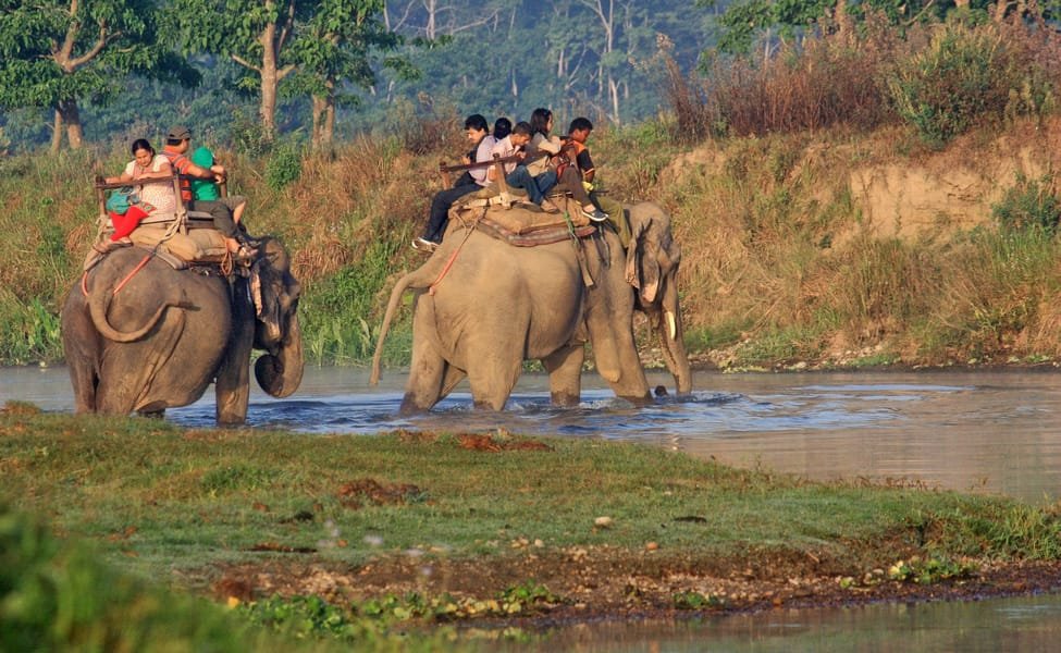 nepalvisit2020's tweet photo. The Chitwan National Park (CNP) is a world heritage property, and it also contains a Ramsar Site β Beeshazari Tal in its buffer zone.
For More.: https://t.co/0Y6cUHkUVT
#CNP #Chitwannatinalpark #Nepal #NationalPark #JungleSafari #Visitnepal2020 #Regulusnepal https://t.co/WLlpHRHp6J