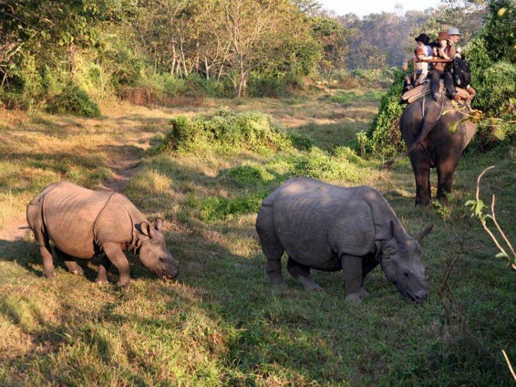 nepalvisit2020's tweet photo. The Chitwan National Park (CNP) is a world heritage property, and it also contains a Ramsar Site β Beeshazari Tal in its buffer zone.
For More.: https://t.co/0Y6cUHkUVT
#CNP #Chitwannatinalpark #Nepal #NationalPark #JungleSafari #Visitnepal2020 #Regulusnepal https://t.co/WLlpHRHp6J