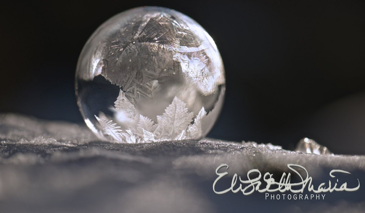 expressitwrite's tweet image. #frozensoapbubble #nikonphotography #Nikon #nikonD810 #macro #belowfreezing #itsnotevenwinter #snow #frozen #ice