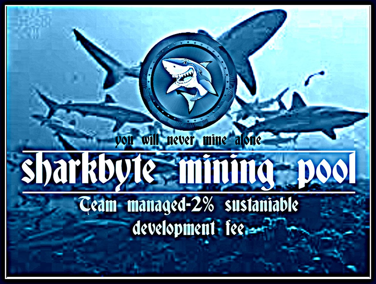 sharkcex tweet media