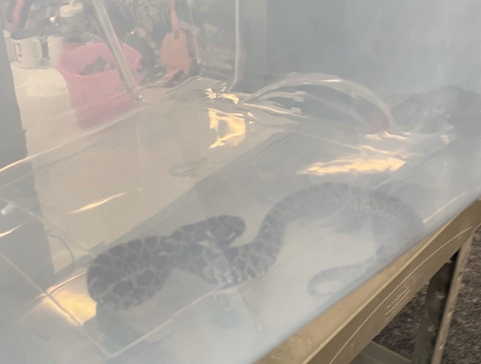 Jon Freier tweet media