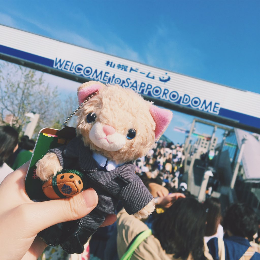 小小的气泡海豚 tweet media