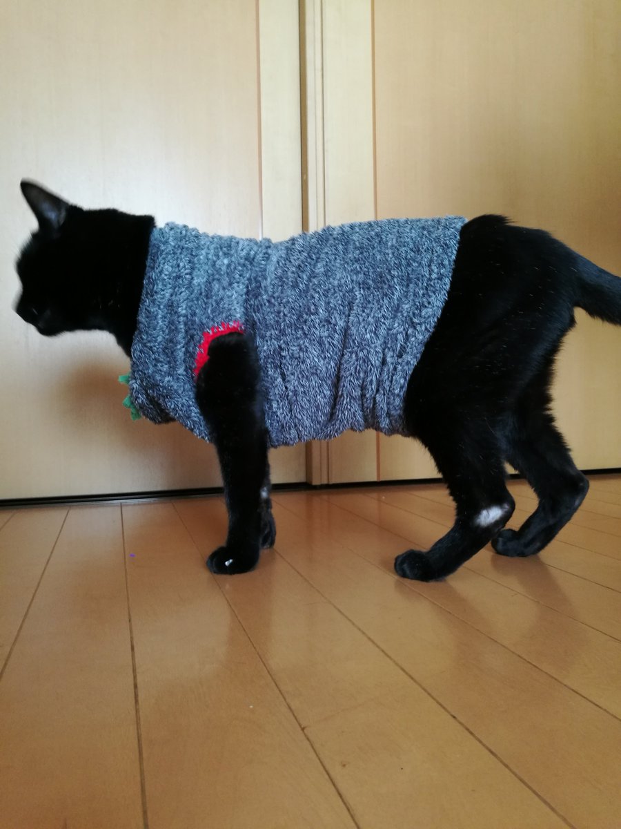 不毛の 解凍する 雪解け 霜解け 出席 猫 トイレ 寒い Brado Jp