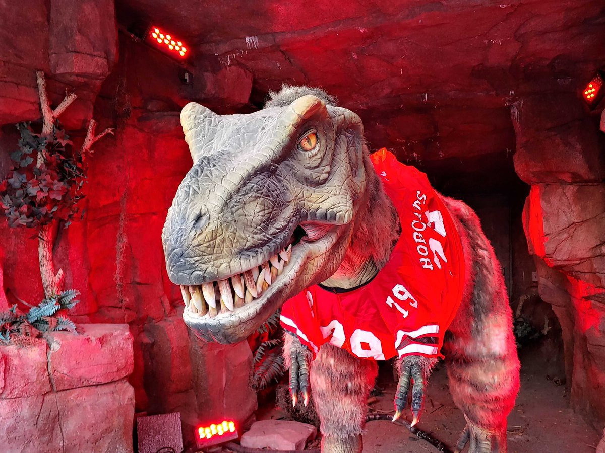 KateTreiber's tweet photo. Max is ready to #bringthered and will be roaring for the Bobcat Football Team this Friday! Go Cats!! https://t.co/K76vlJb2DE