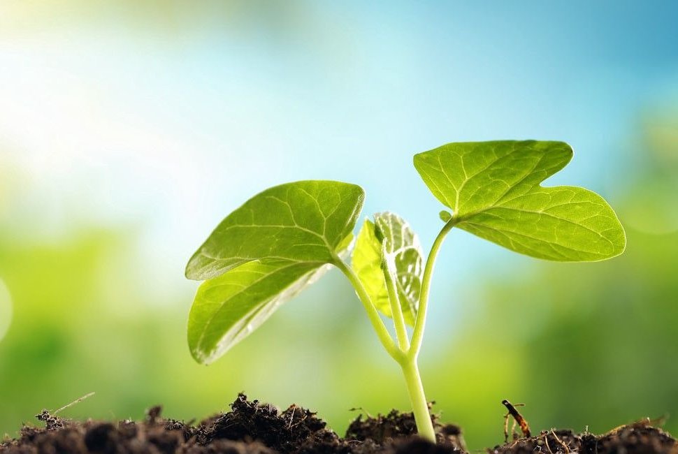 CANEnvironmentl's tweet photo. The Job Role &amp; Benefits of Ecology and Biophysical Impact Assessments - https://t.co/0teoJq379l

#EnvironmentalSiteAssessment
#BiologicalResource
#Phase1EnvironmentalSiteAssessment
#GeotechnicalEngineering
#EnvironmentalConsultants https://t.co/OWo5SsWQ95