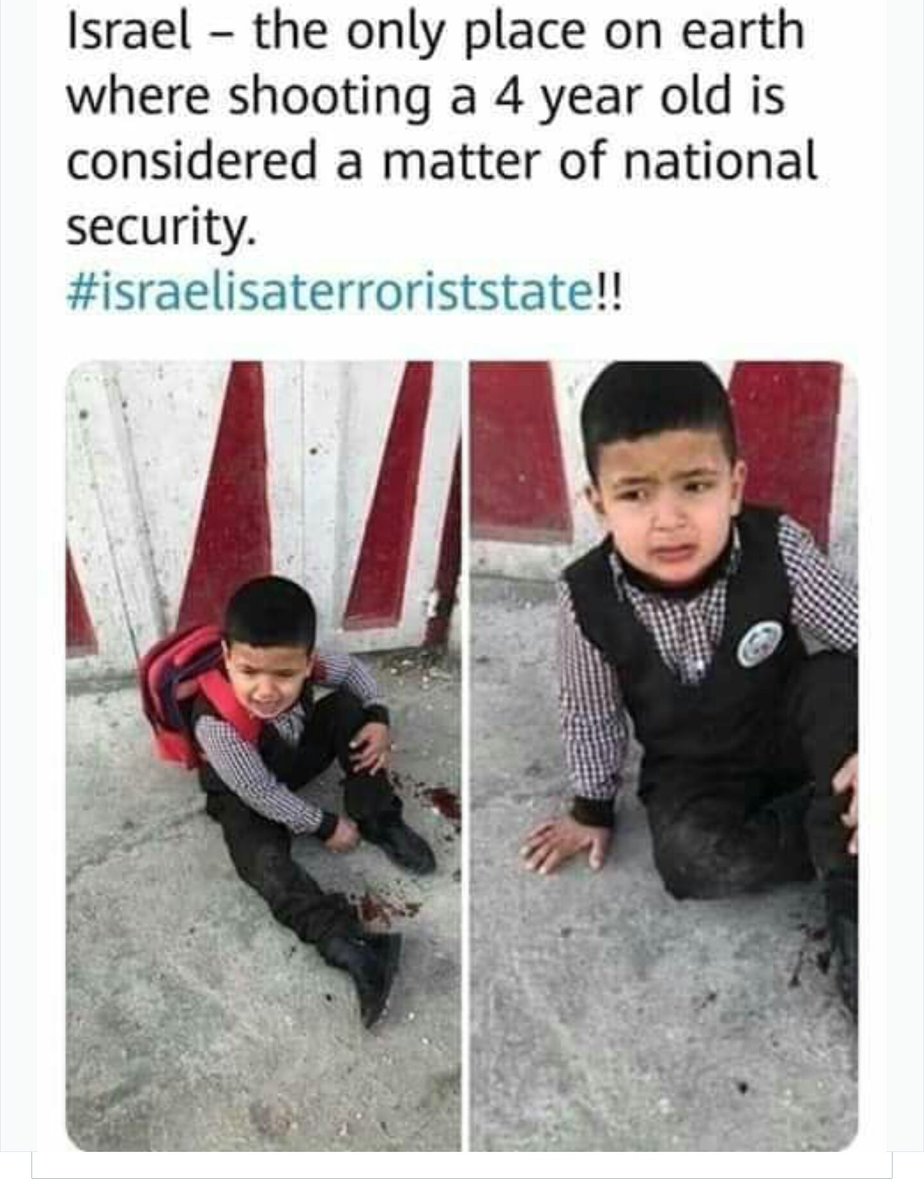 Shahzaib Aslam Rajput 🇵🇰🇵🇰 (@IamShahXaib) | Twitter