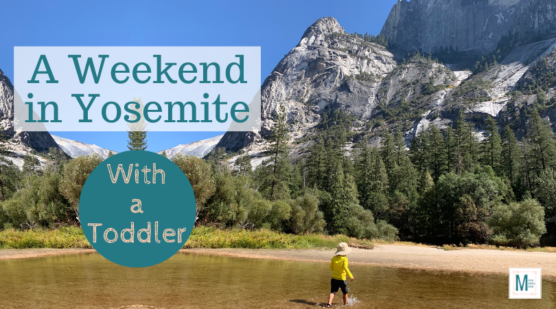 move_mama_move's tweet photo. A magical weekend in Yosemite...with a toddler.  It's do-able!  Find out how...
https://t.co/pkvkZih2gh

#Yosemite #YNP #familytravel #toddlerlife https://t.co/Dl9fH7DlXE