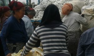 "While most cotton pickers work voluntarily, UGF has documented the usual methods of forcing hundreds of employees from public organizations to pick cotton or extorting people to pay for replacement pickers." - details of 2019 harvest from  @UGFHumanRights  http://bit.ly/34UUgxp 