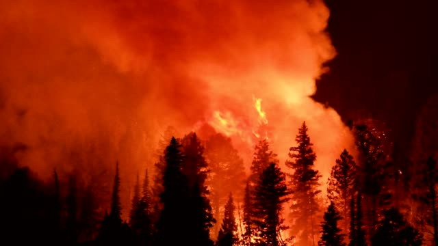 Solis_Games19's tweet photo. Climate change is a serious subject that must be heard more, play our game to learn more about it! #TheLastOasis https://t.co/qFqC4yGBaU